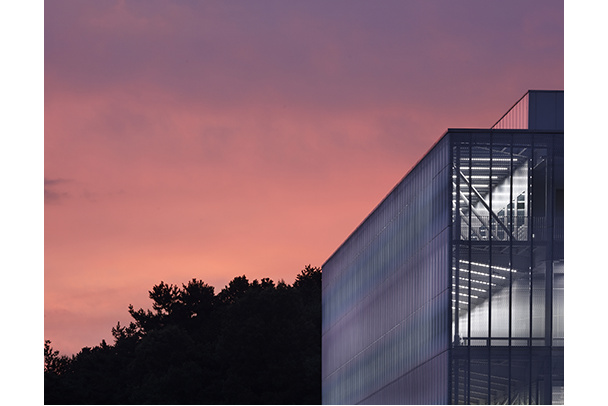 Corner of the glass and mesh building against a pink sky and dark trees