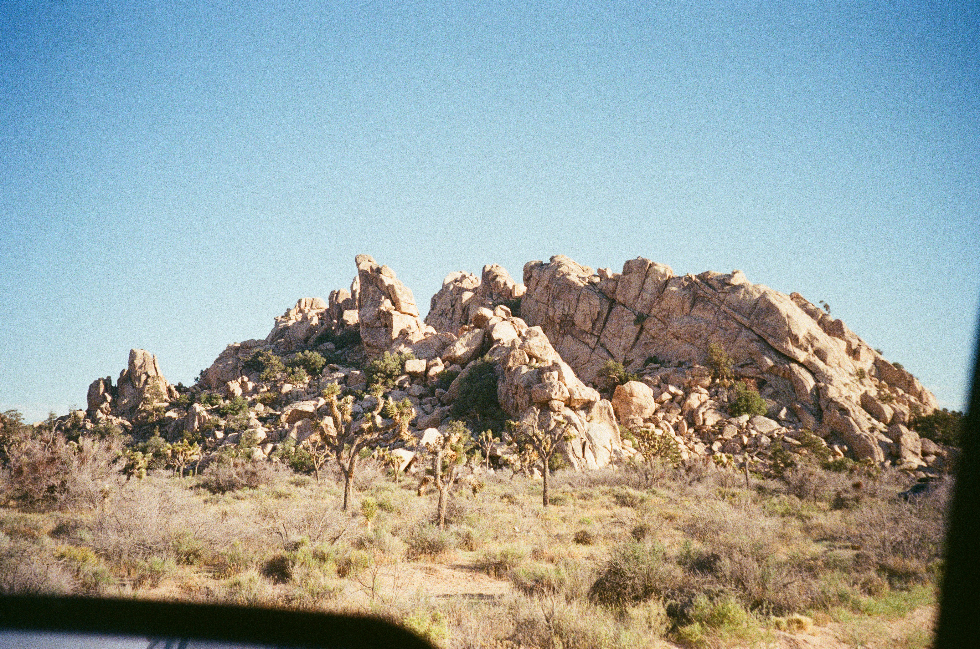 Rock formation and Joshua trees