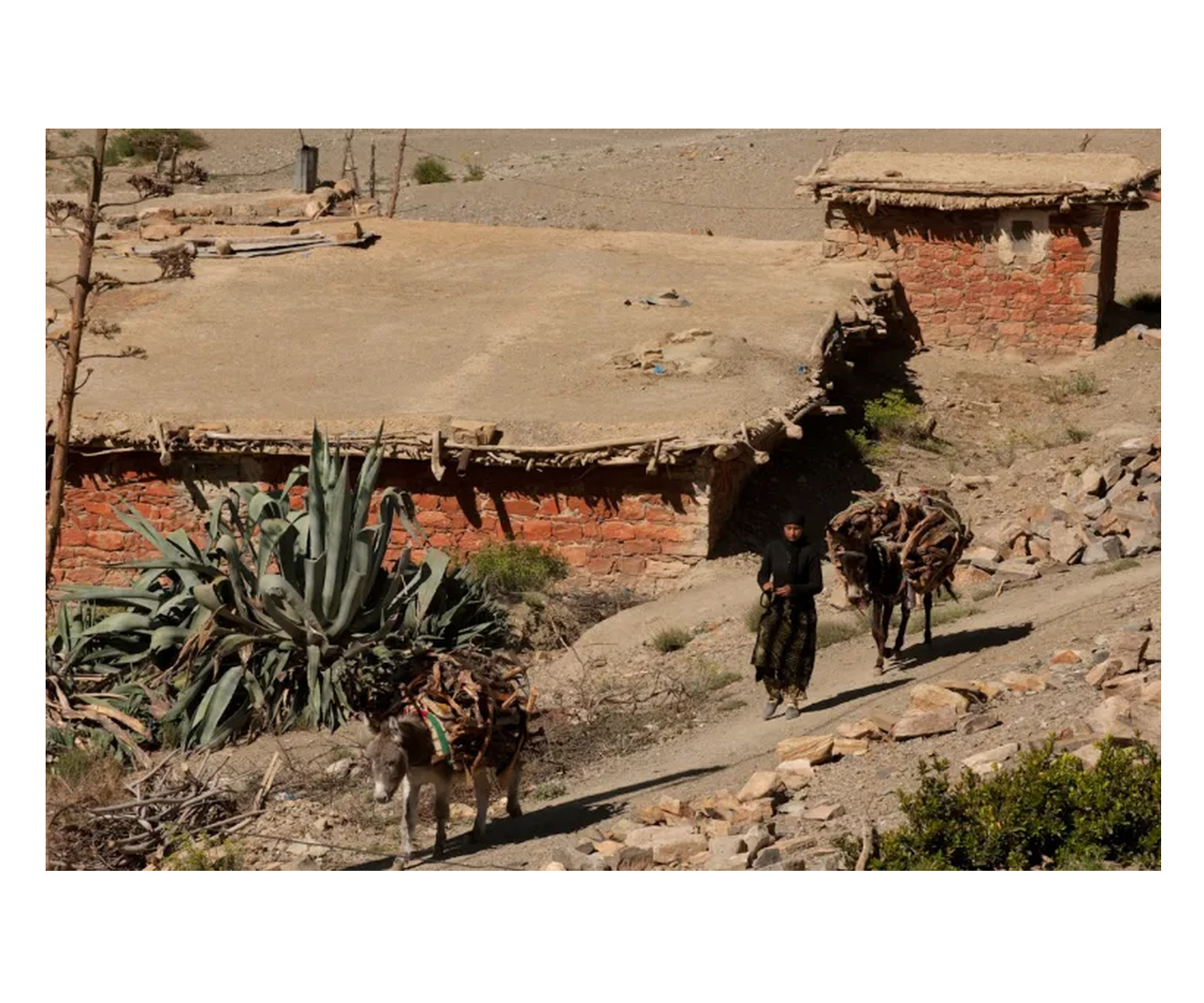 Suq at Zouwiat Ahansal, Morocco, 2019 photo 3