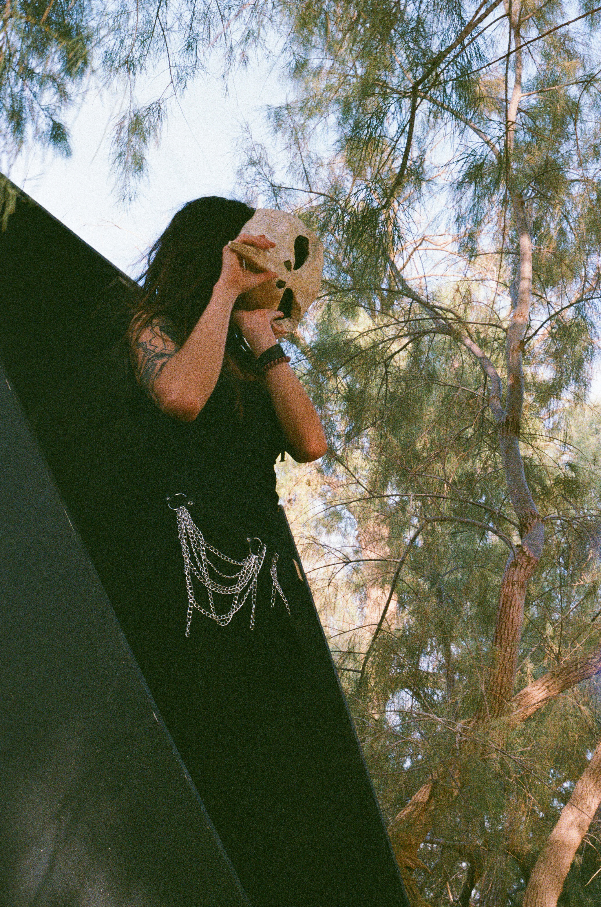 Figure holding a bird-skull mask to their face beside a black wooden coffin lid, tamarisk trees above