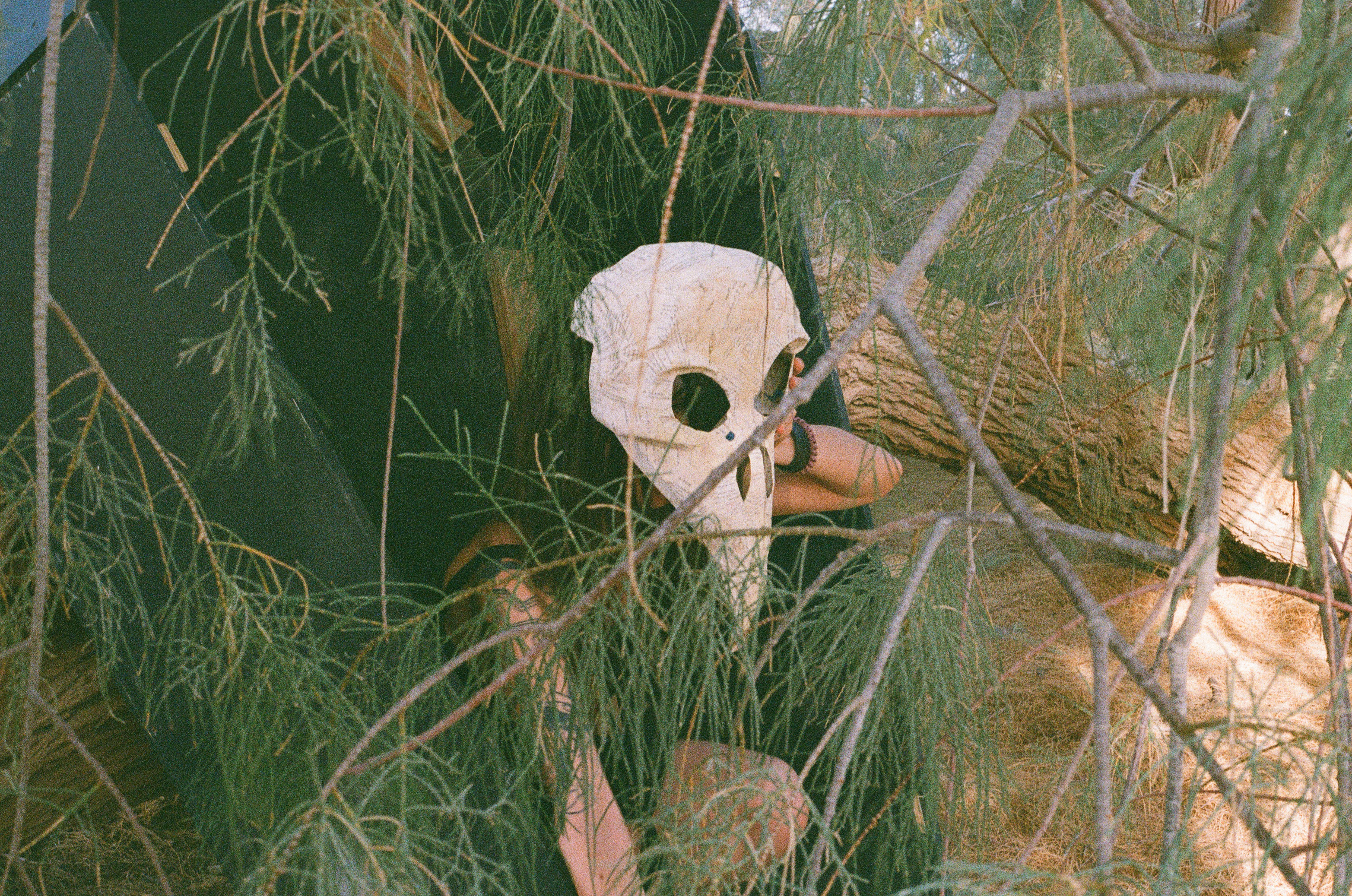 Bird-skull mask seen through tamarisk branches beside the black coffin