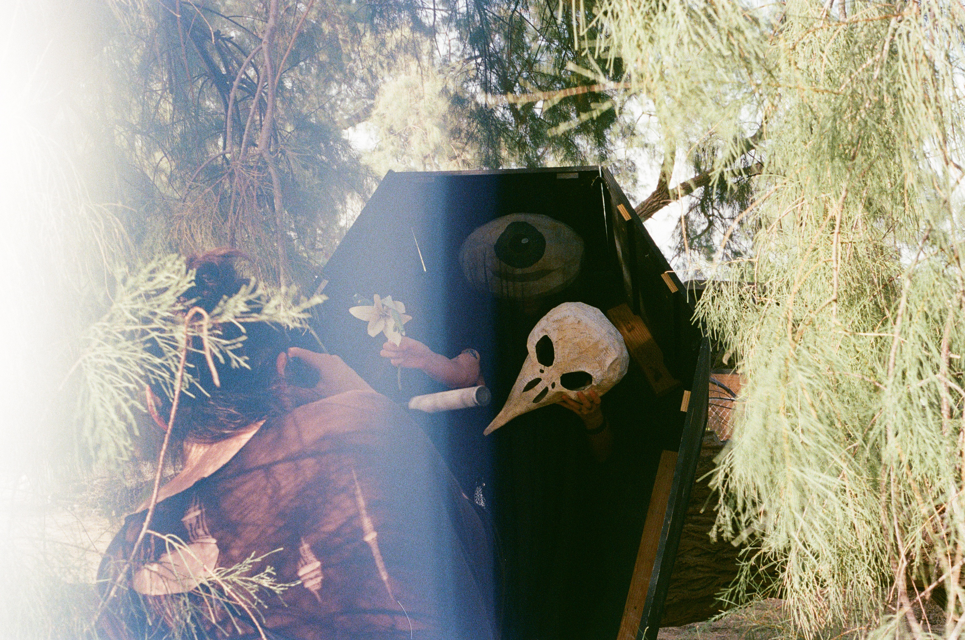 Film photograph with a light leak: a figure holding a white lily and a bird-skull mask inside the black coffin under tamarisk trees