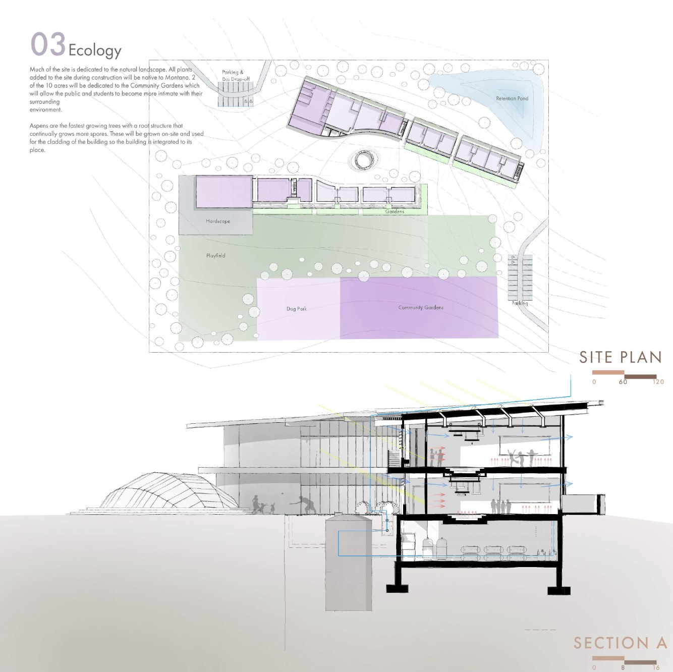 Ecology: site plan and Section A